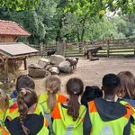 Ausflug zum Museumsdorf mit den Frechen Raben